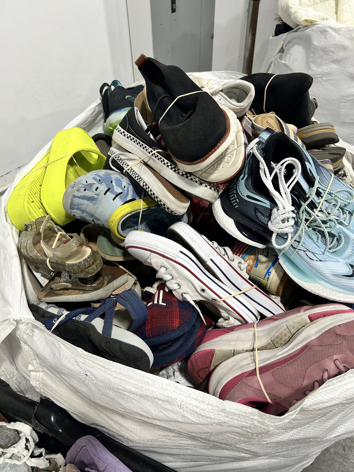 Sorted shoe bag